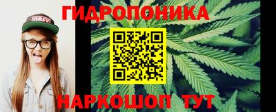 дмт Майкоп