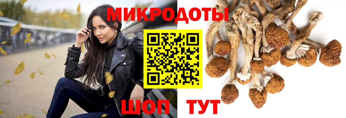 Псилоцибиновые грибы прущие грибы Кольчугино